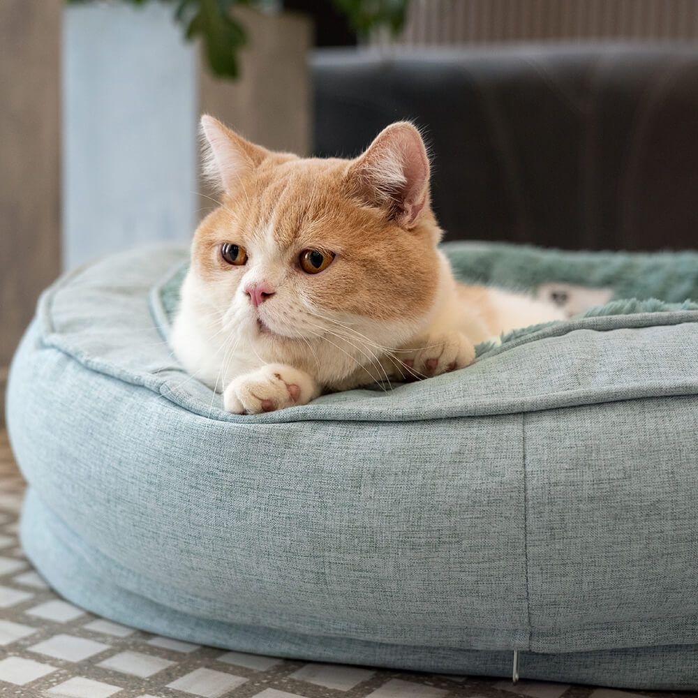 Dog Bed Donut Oval Orthopaedic Foam M L XL 2XL Waterproof Washable Anti-Slip Calming Cuddler Pet Sofa Bed | Koossa
