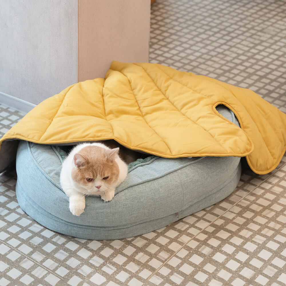 Dog Bed Donut Oval Orthopaedic Foam M L XL 2XL Waterproof Washable Anti-Slip Calming Cuddler Pet Sofa Bed | Koossa