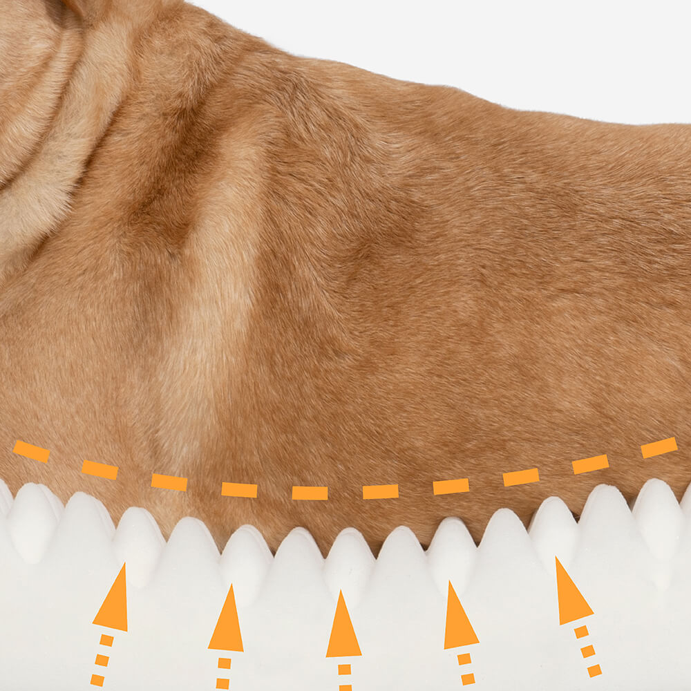 Dog Bed Donut Oval Orthopaedic Foam M L XL 2XL Waterproof Washable Anti-Slip Calming Cuddler Pet Sofa Bed | Koossa