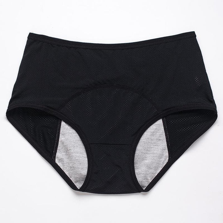 Women's Moisture-Wicking Brief Knickers — Seamless Everyday Underwear for All-Day Comfort & Freshness | Koossa