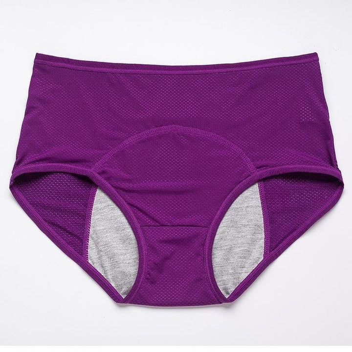 Women's Moisture-Wicking Brief Knickers — Seamless Everyday Underwear for All-Day Comfort & Freshness | Koossa