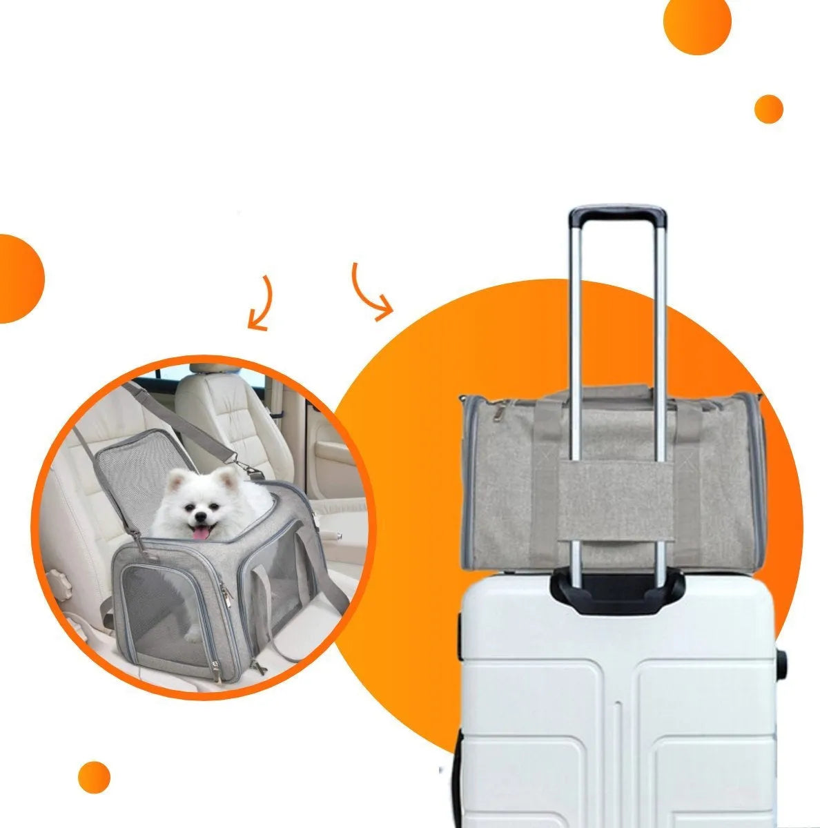 Pet Carrier Bag Airline Approved Small Medium Dog Cat Travel Soft-Sided Ventilated Shoulder Strap Portable | Koossa