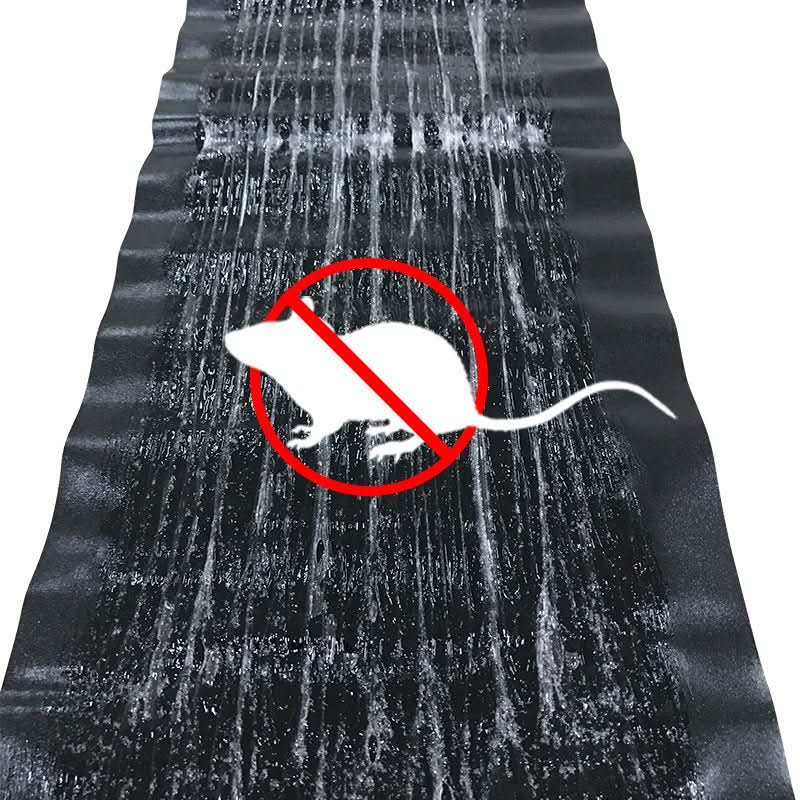 Pièges Adhésifs Non Toxiques pour Rongeurs et Insectes Rampants – Lot de 10 Unités – Grande Surface Collante | Koossa