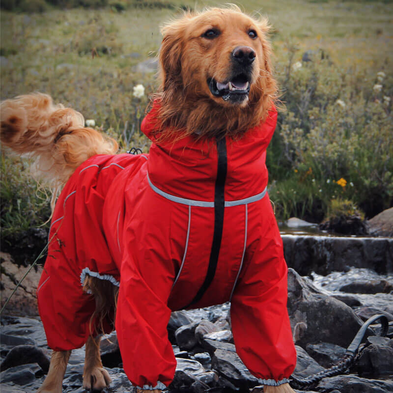 Dog Raincoat Full Body Waterproof Polyester Graphene Reflective Strips Large Dogs Windproof Snow Jacket Coat | Koossa