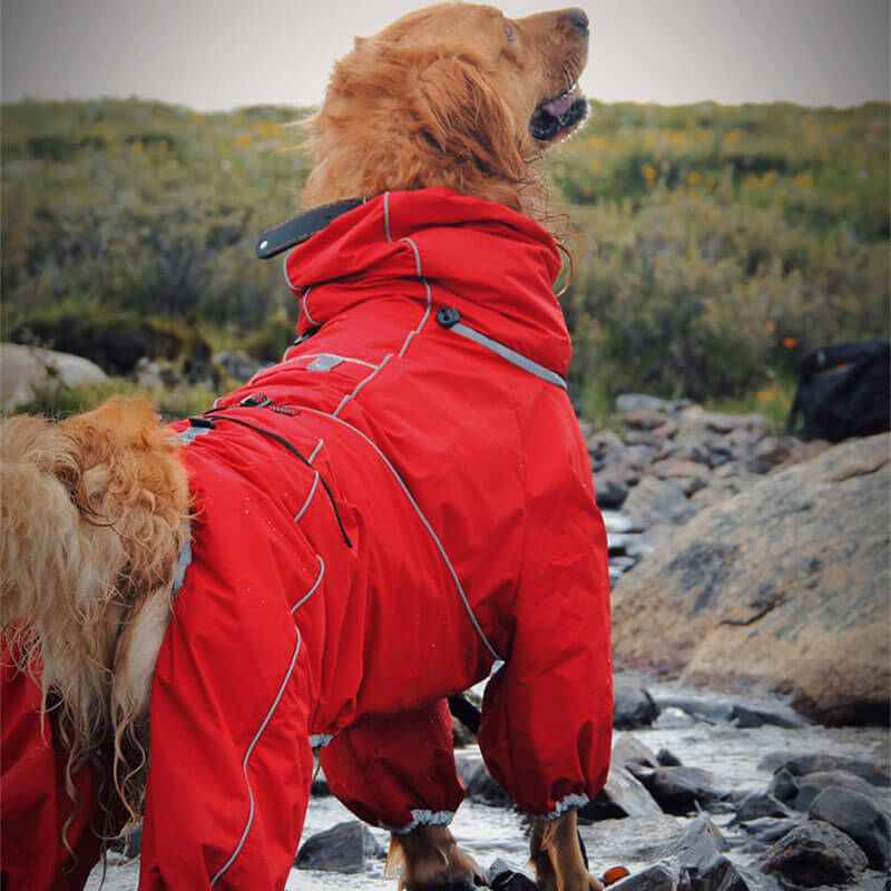 Dog Raincoat Full Body Waterproof Polyester Graphene Reflective Strips Large Dogs Windproof Snow Jacket Coat | Koossa