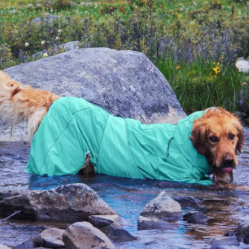 Dog Raincoat Full Body Waterproof Polyester Graphene Reflective Strips Large Dogs Windproof Snow Jacket Coat | Koossa