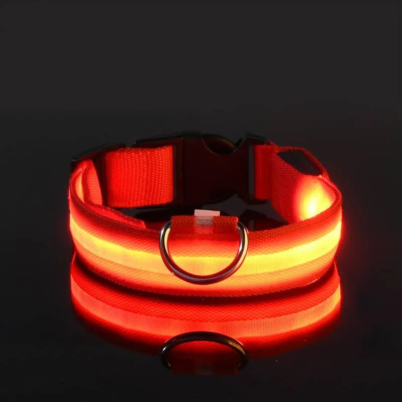 LED Dog Collar USB Rechargeable Nylon Reflective Waterproof Night Safety XS XL Adjustable Pet Collar Visibility Walking | Koossa