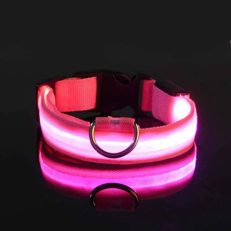LED Dog Collar USB Rechargeable Nylon Reflective Waterproof Night Safety XS XL Adjustable Pet Collar Visibility Walking | Koossa