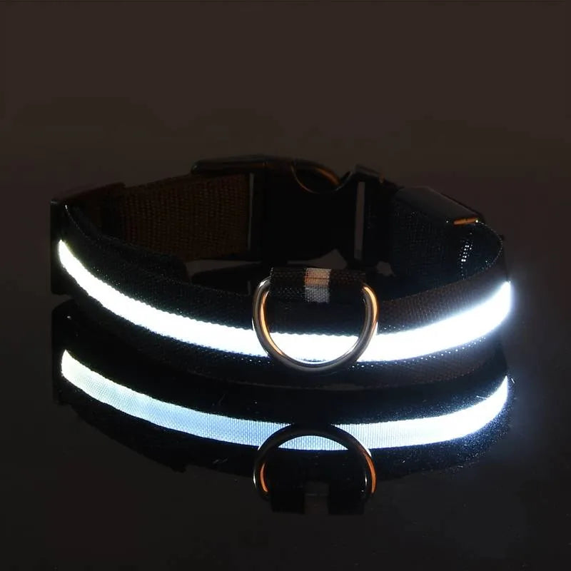 LED Dog Collar USB Rechargeable Nylon Reflective Waterproof Night Safety XS XL Adjustable Pet Collar Visibility Walking | Koossa