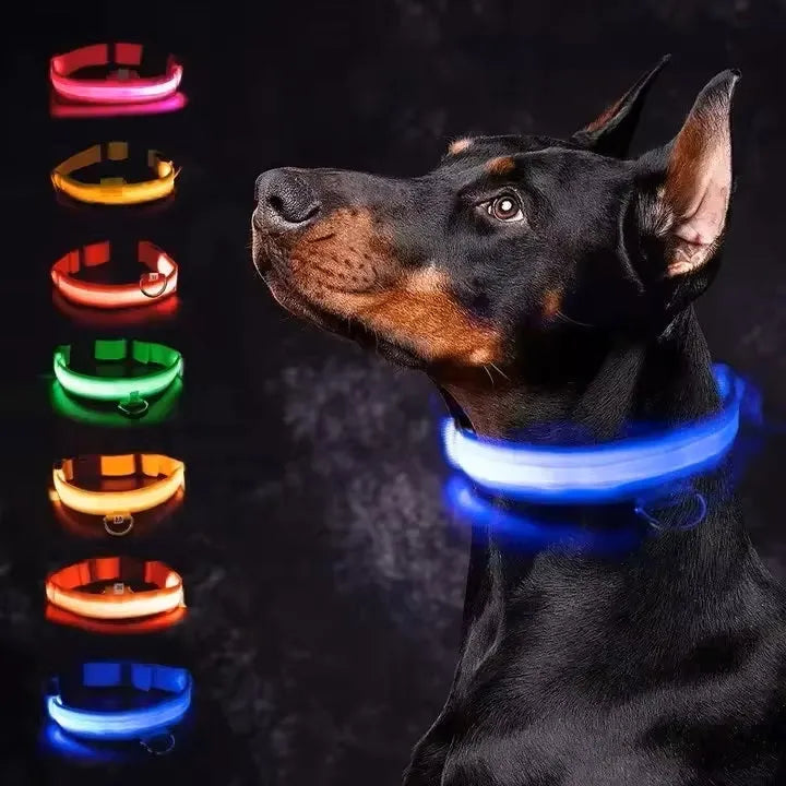 LED Dog Collar USB Rechargeable Nylon Reflective Waterproof Night Safety XS XL Adjustable Pet Collar Visibility Walking | Koossa