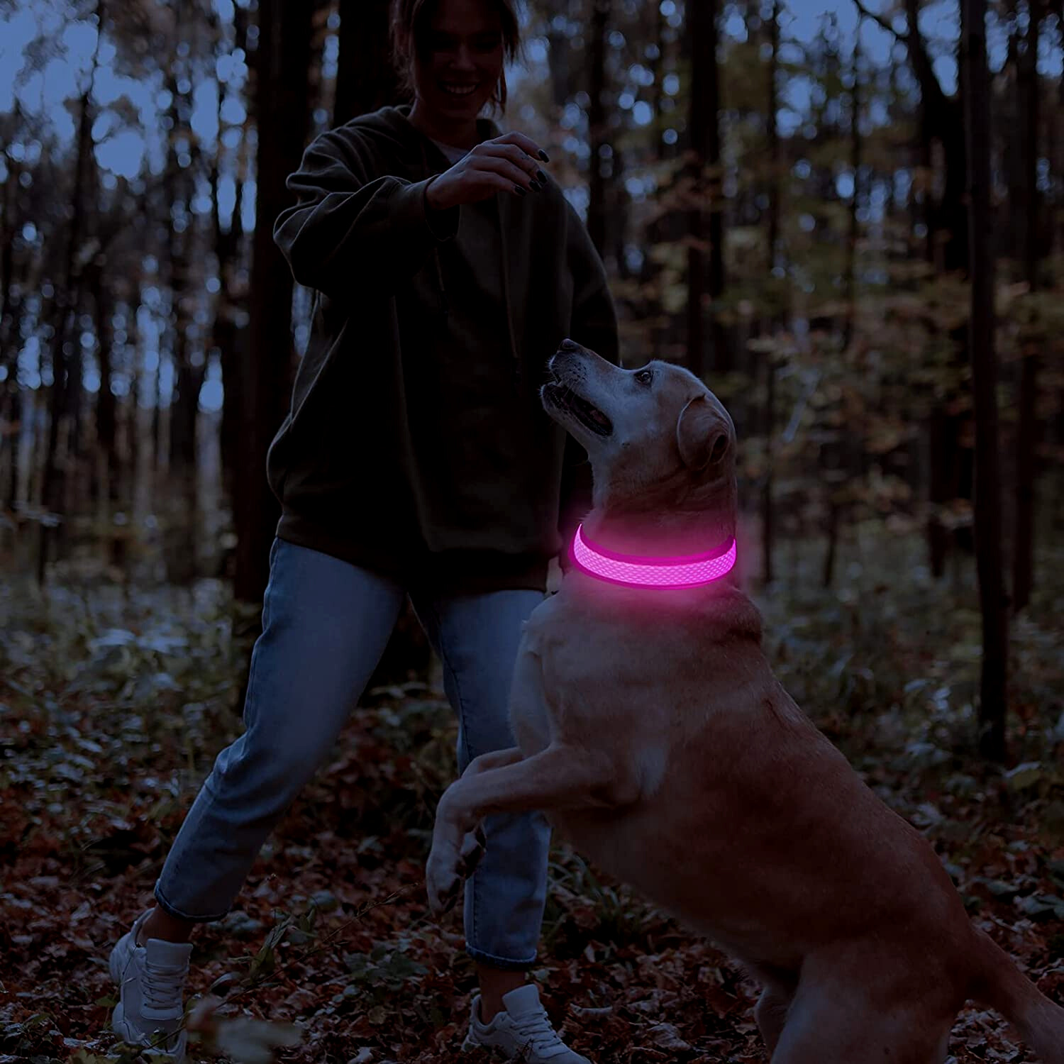 LED Dog Collar USB Rechargeable Nylon Reflective Waterproof Night Safety XS XL Adjustable Pet Collar Visibility Walking | Koossa