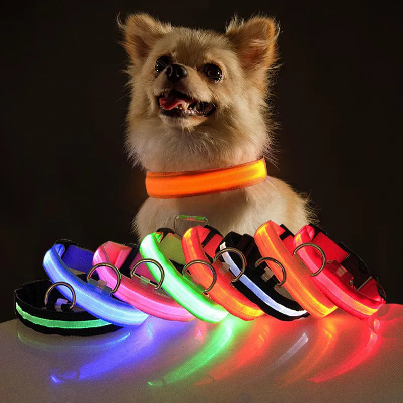 LED Dog Collar USB Rechargeable Nylon Reflective Waterproof Night Safety XS XL Adjustable Pet Collar Visibility Walking | Koossa