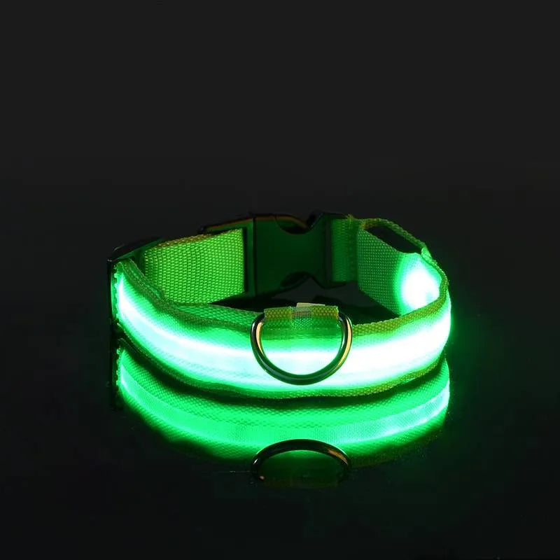 LED Dog Collar USB Rechargeable Nylon Reflective Waterproof Night Safety XS XL Adjustable Pet Collar Visibility Walking | Koossa
