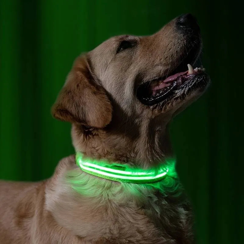 LED Dog Collar USB Rechargeable Nylon Reflective Waterproof Night Safety XS XL Adjustable Pet Collar Visibility Walking | Koossa