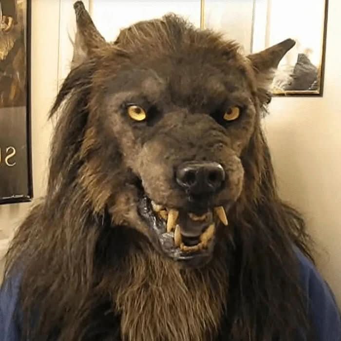 Full Head Wolf Creature Mask for Halloween Costume Parties and Convention Character Cosplay with Realistic Fur and Silicone Construction | Lonoma