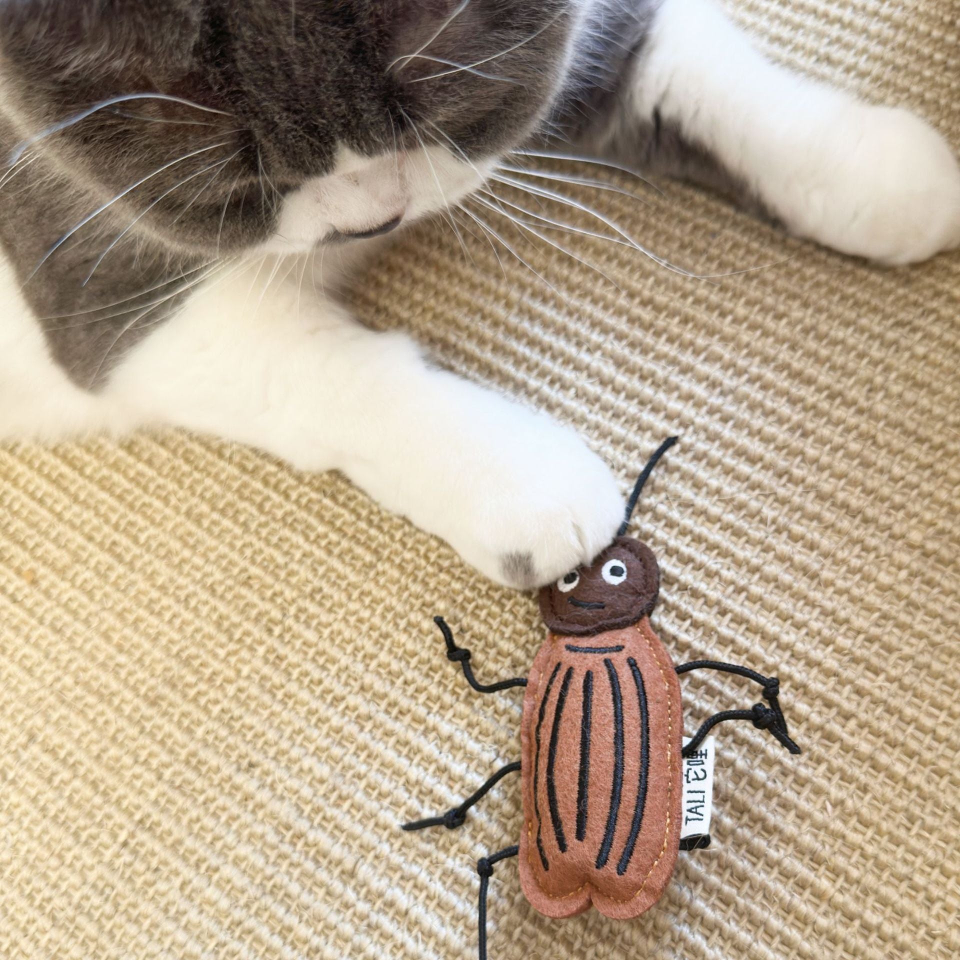 Cat Insect Catnip Toy Bell Crinkle Paper Plush Bug Kicker Bat Pounce Indoor Kitten Adult Hunt Play Toy | Koossa