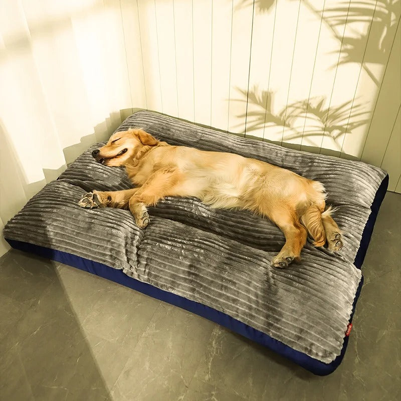 Dog Bed Orthopedic Memory Foam Large XL XXL Removable Cover Washable Joint Support Senior Puppy Mattress | Koossa