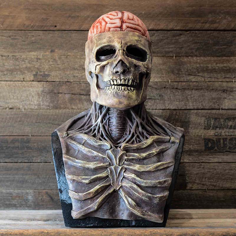 Skeleton Mask Full-Head Latex Halloween Costume Mask for Adults, Realistic Skull Horror Mask for Parties, Haunted Houses & Cosplay | Lonoma