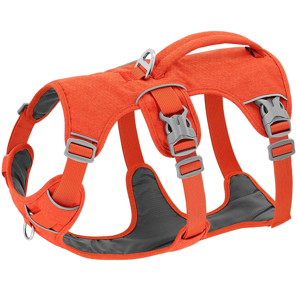 Dog Harness No-Pull Padded Reflective Adjustable XS-M Nylon Escape-Proof Handle Vest Small Medium Large Training Walking Control | Koossa