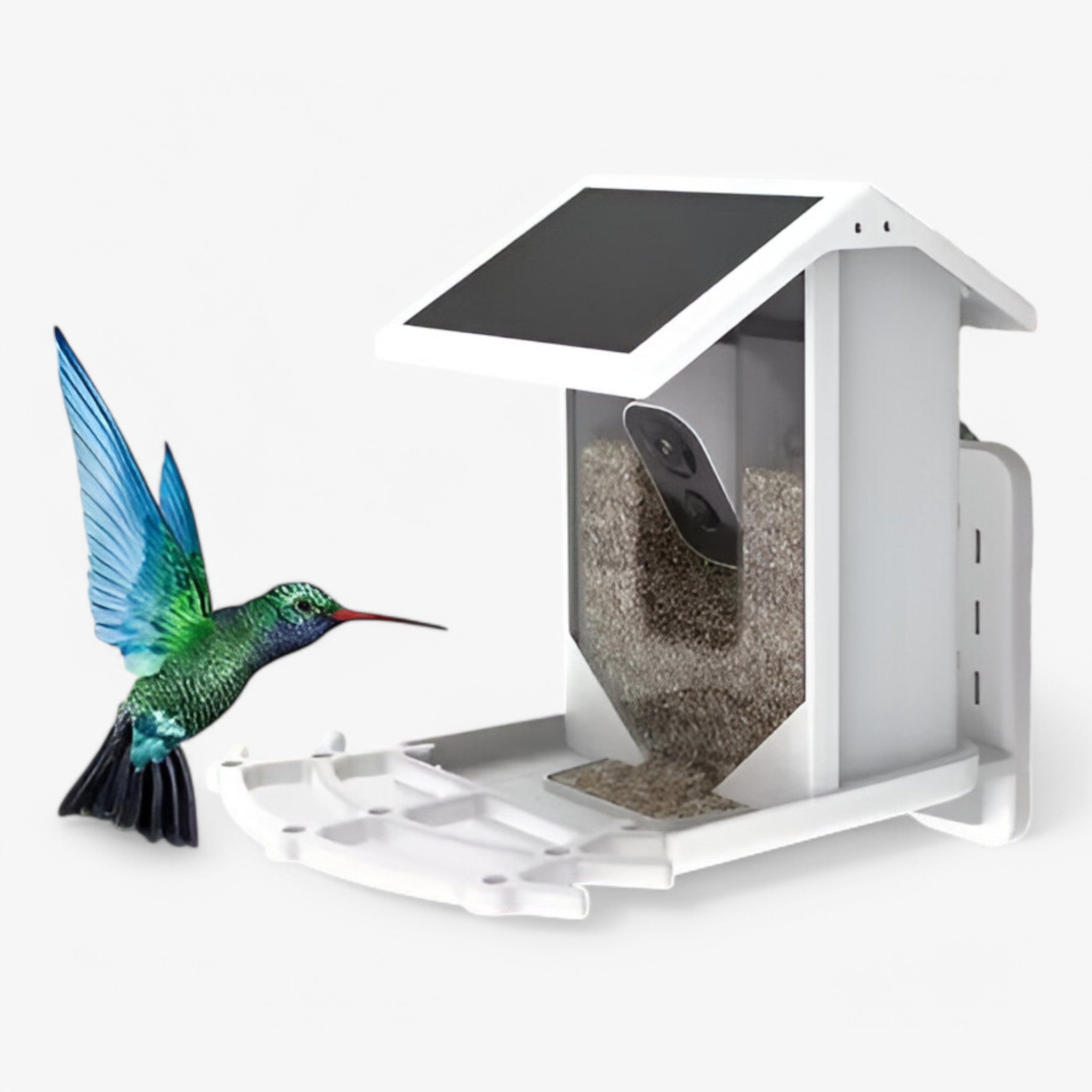 Bird Feeder Camera Smart AI Solar Powered 1080P HD Wildlife Garden Watching Identification Outdoor | Koossa