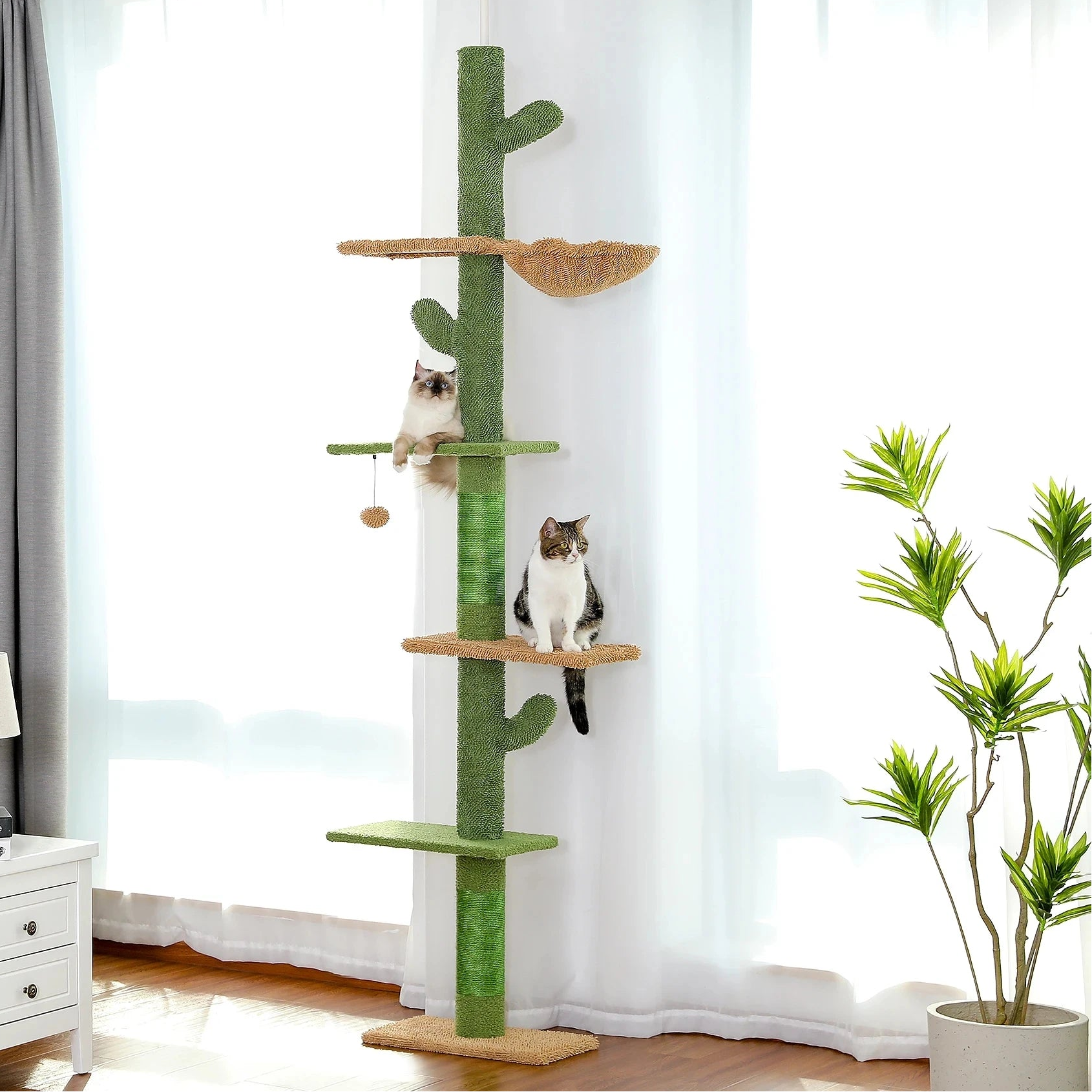 Cat tree with multiple levels and shelves in a room with curtains and a plant.