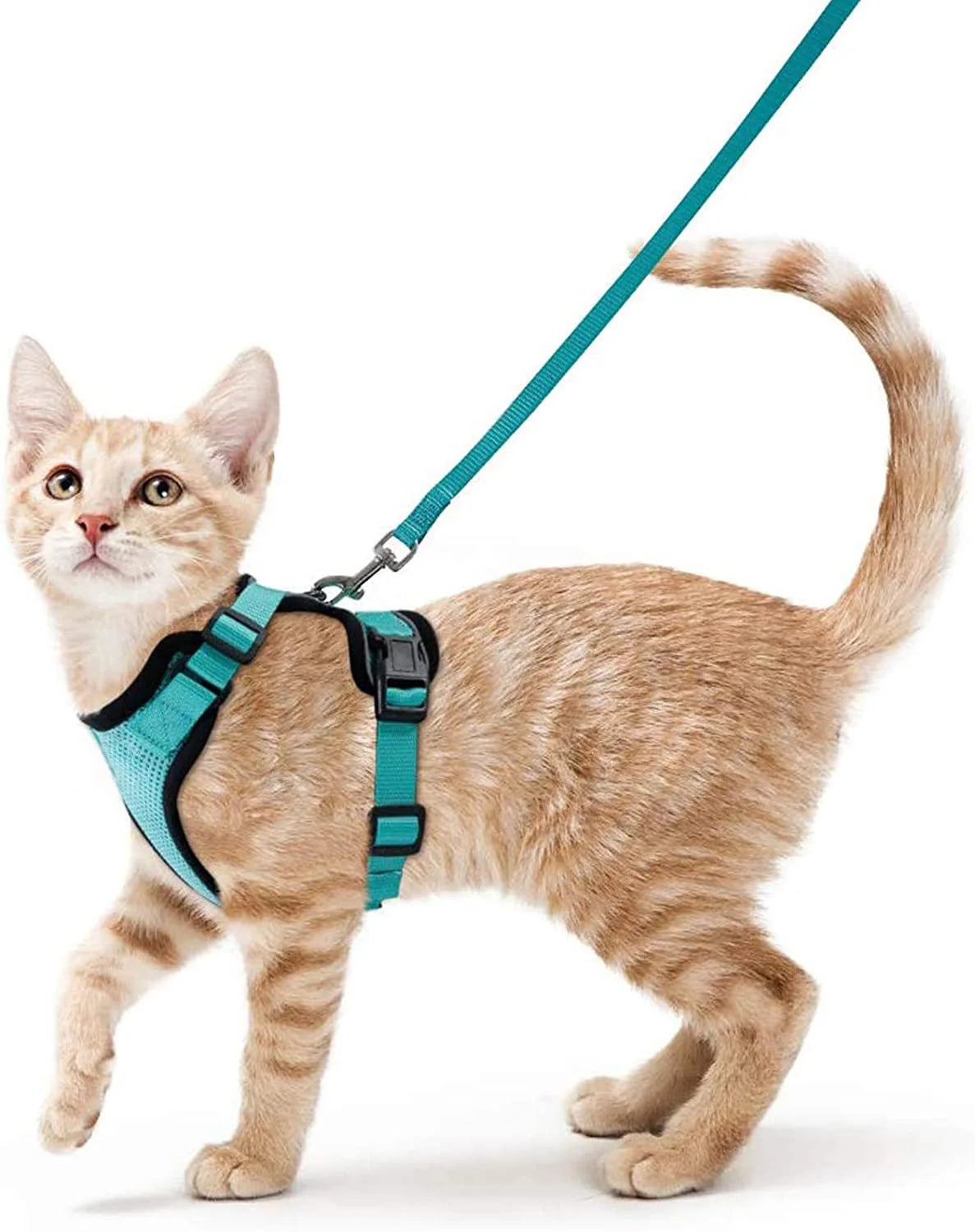 Cat Harness No-Choke Mesh Breathable Adjustable Escape-Proof Vest Kitten Lead Outdoor Walking | Koossa