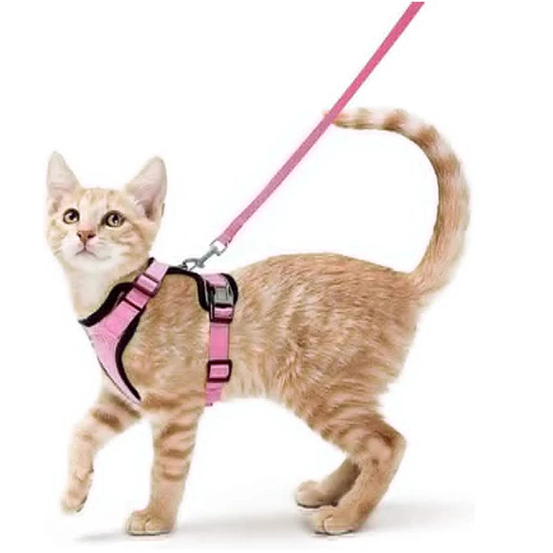 Cat Harness No-Choke Mesh Breathable Adjustable Escape-Proof Vest Kitten Lead Outdoor Walking | Koossa
