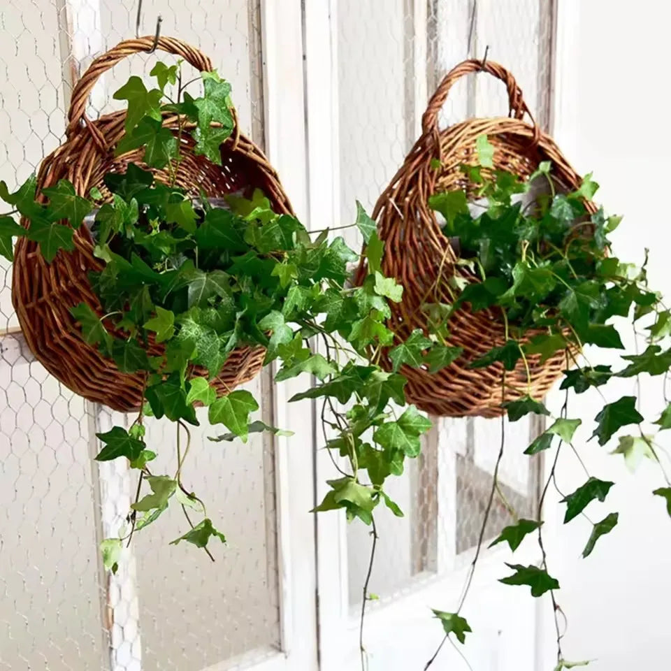 Panier suspendu en rotin naturel tressé à la main pour plantes vertes mur intérieur extérieur décoration | Koossa