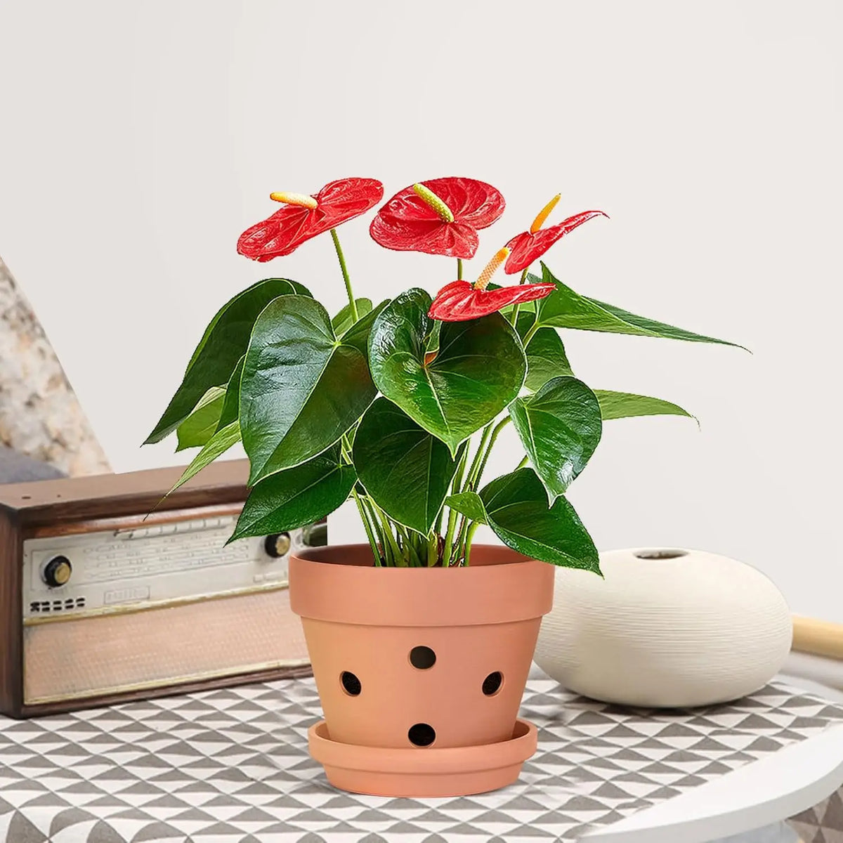 4-Inch Terra Cotta Orchid Pots with Drainage Holes and Saucers, Set of 6 Clay Plant Pots for Indoor Outdoor Orchids, Succulents, Small Plants | Lonoma