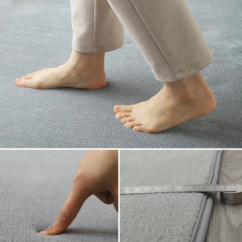 Plush Coral Velvet Area Rug Soft Non-Slip Floor Mat for Living Room Bedroom Kids Play Space Large Rectangle Home Rug | Lonoma