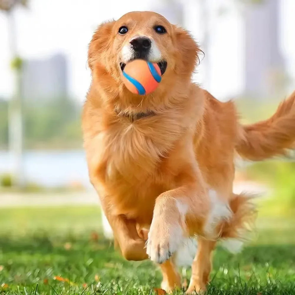 Bouncy Rubber Dog Ball for Fetch, Chew & Play – Durable Solid Ball for Puppies, Small, Medium & Large Dogs | Lonoma