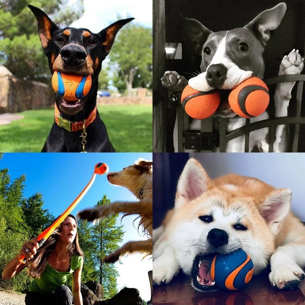 Bouncy Rubber Dog Ball for Fetch, Chew & Play – Durable Solid Ball for Puppies, Small, Medium & Large Dogs | Lonoma