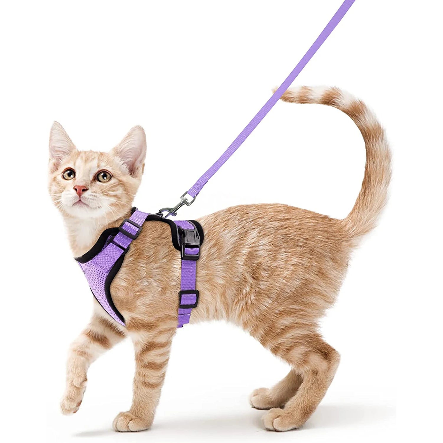 Cat Harness No-Choke Mesh Breathable Adjustable Escape-Proof Vest Kitten Lead Outdoor Walking | Koossa