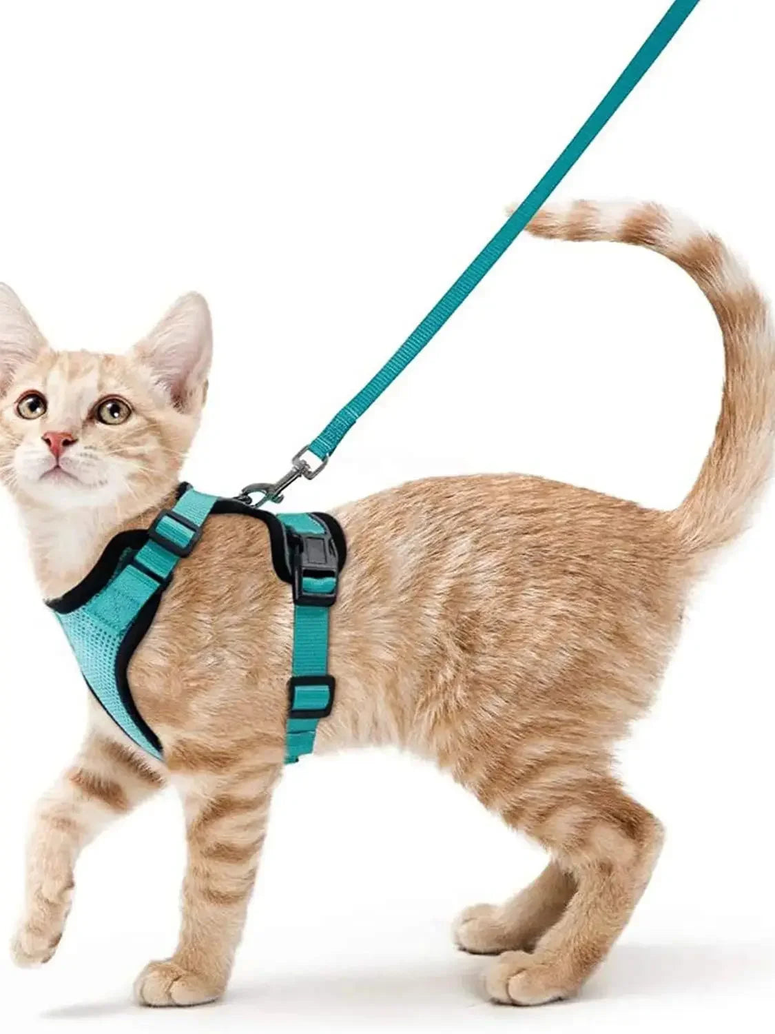 Cat Harness No-Choke Mesh Breathable Adjustable Escape-Proof Vest Kitten Lead Outdoor Walking | Koossa