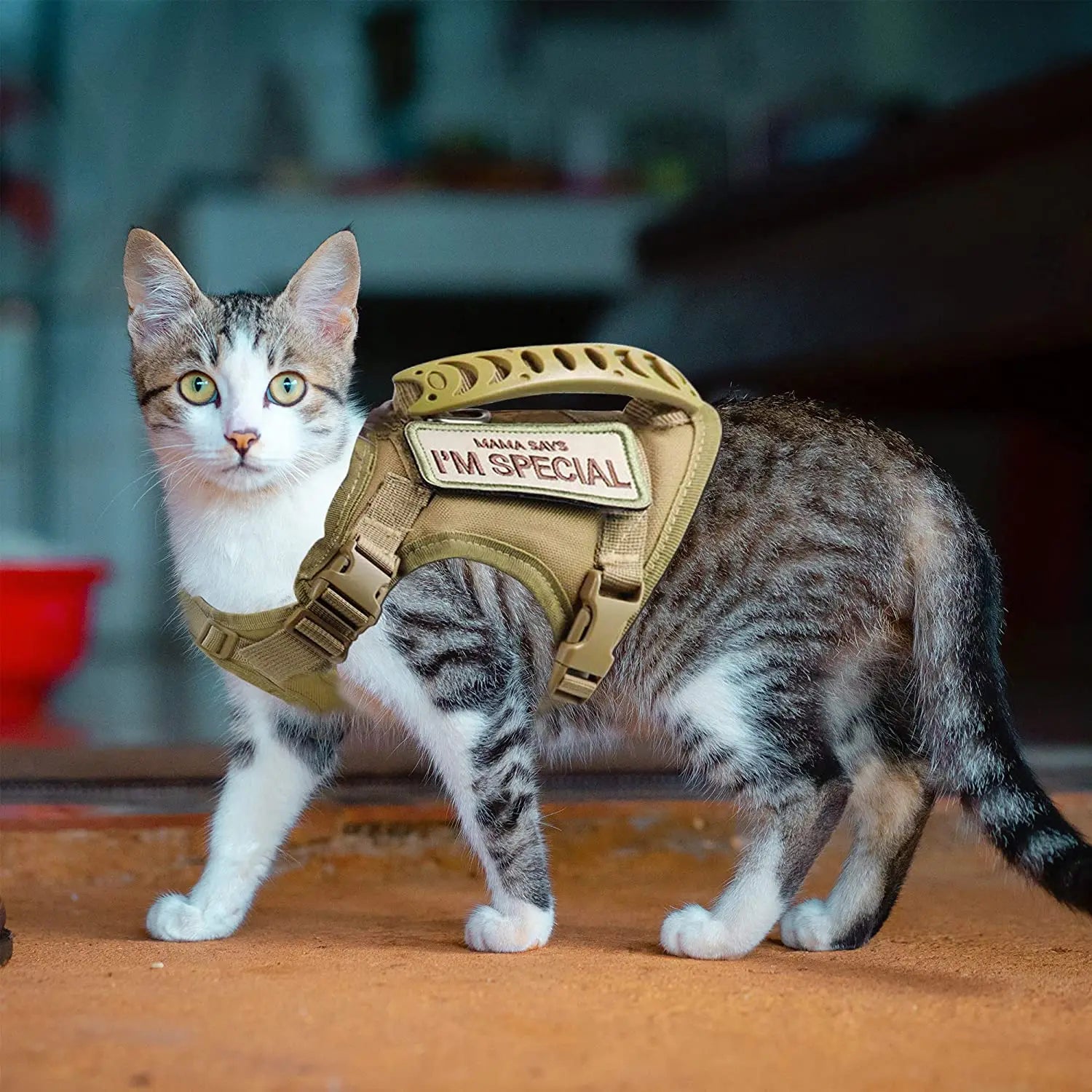 Cat Harness Tactical No-Pull Adjustable Escape-Proof Handle Mesh Vest Walking Large Small Dog | Koossa