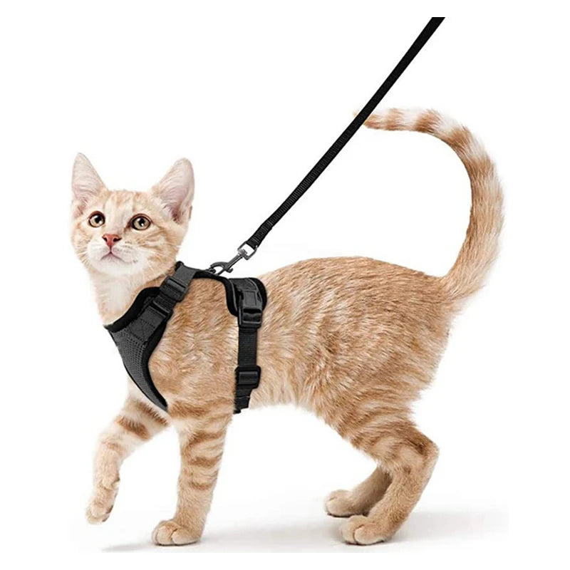 Cat Harness No-Choke Mesh Breathable Adjustable Escape-Proof Vest Kitten Lead Outdoor Walking | Koossa