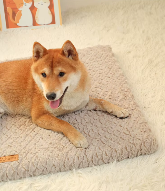 Orthopedic Dog Mat Memory Foam Plush Washable Flat Bed S M L XL XXL Small Large Dogs Cats Sofa Floor Mat Pressure Relief | Koossa