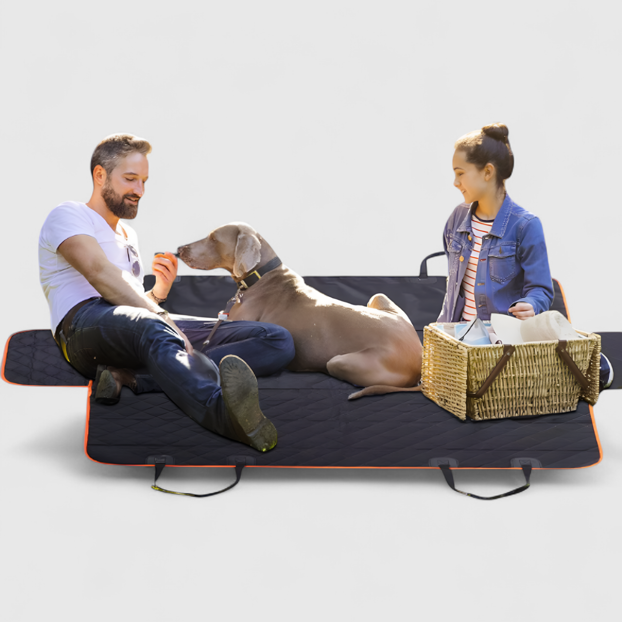 Dog Car Seat Cover Quilted Waterproof Back Seat Protector Hammock Travel Mat Pet | Koossa