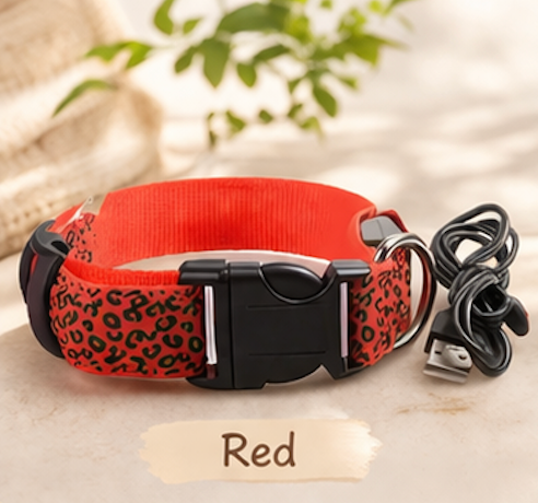 Dog LED Collar USB Rechargeable Leopard Print Light Up 3 Modes Night Safety Glow Collar Small Medium Large | Koossa