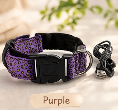 Dog LED Collar USB Rechargeable Leopard Print Light Up 3 Modes Night Safety Glow Collar Small Medium Large | Koossa