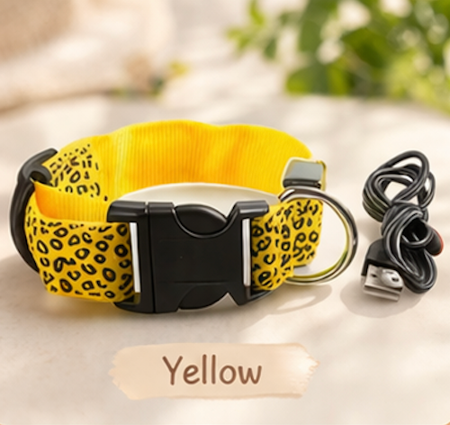 Dog LED Collar USB Rechargeable Leopard Print Light Up 3 Modes Night Safety Glow Collar Small Medium Large | Koossa