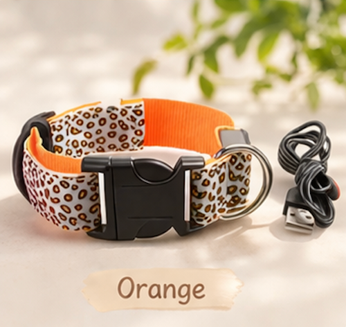 Dog LED Collar USB Rechargeable Leopard Print Light Up 3 Modes Night Safety Glow Collar Small Medium Large | Koossa