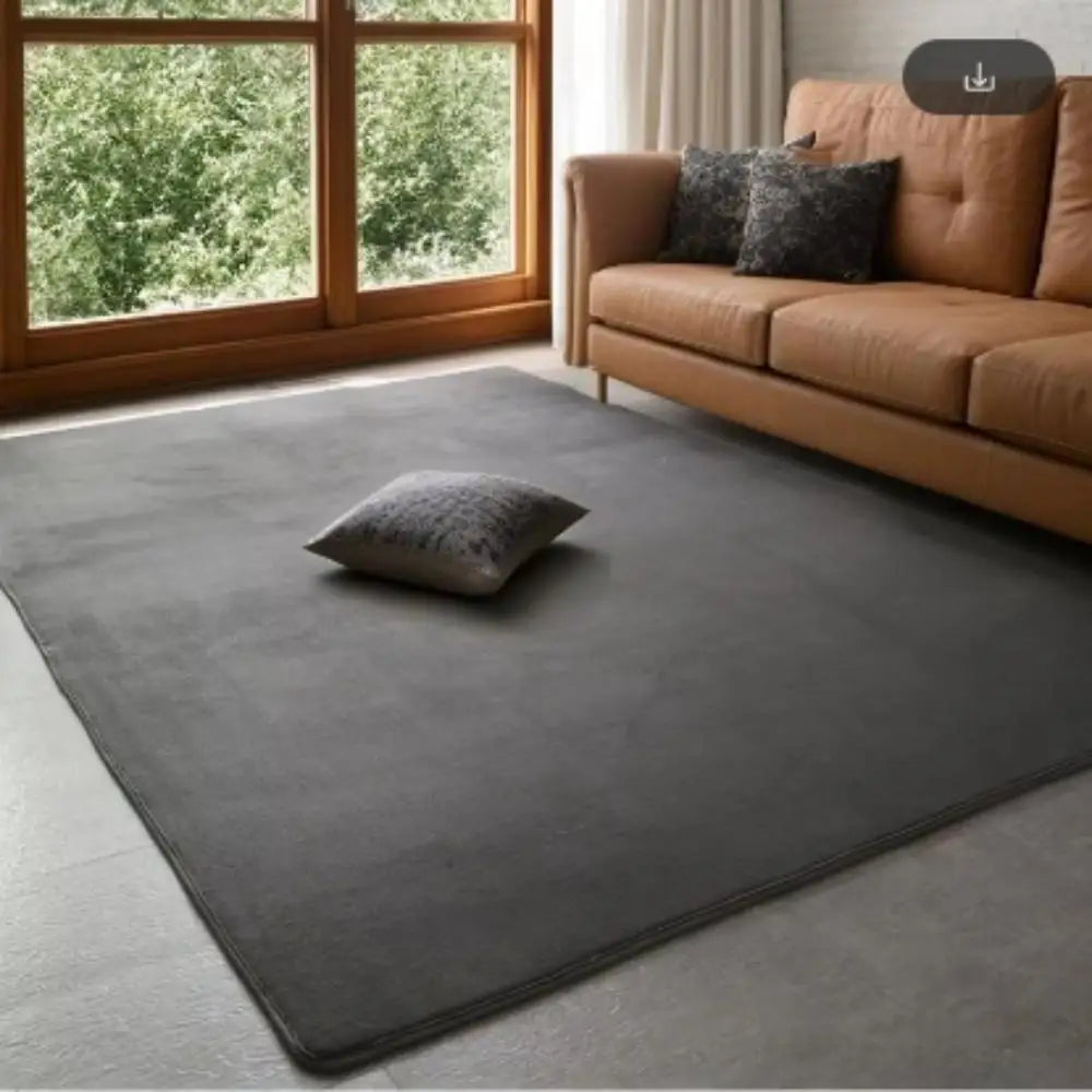 Plush Coral Velvet Area Rug Soft Non-Slip Floor Mat for Living Room Bedroom Kids Play Space Large Rectangle Home Rug | Lonoma