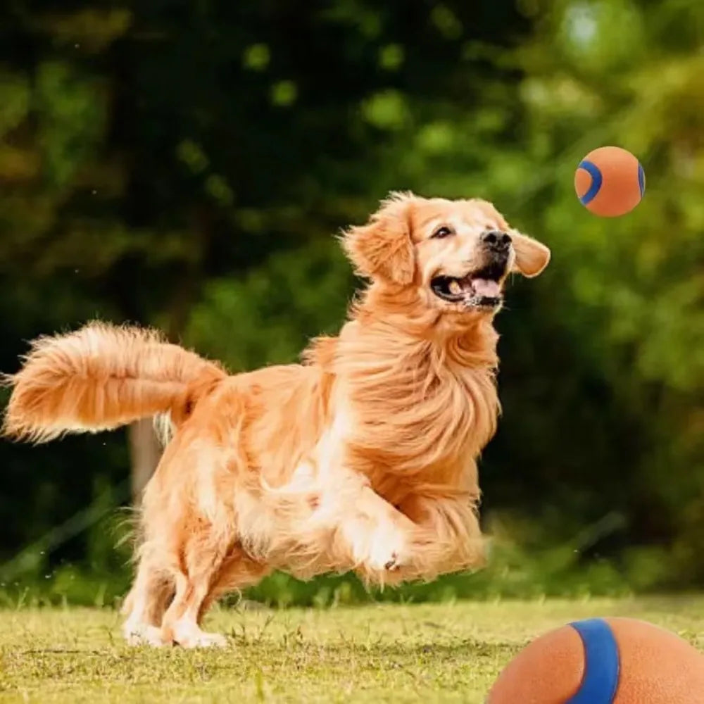 Bouncy Rubber Dog Ball for Fetch, Chew & Play – Durable Solid Ball for Puppies, Small, Medium & Large Dogs | Lonoma