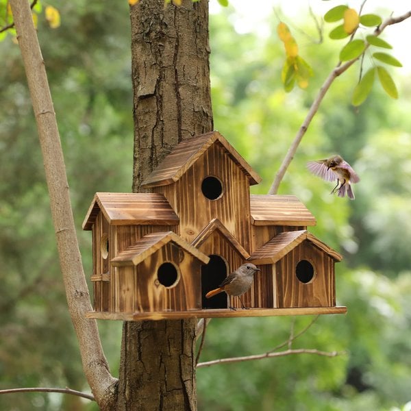 Nichoir en Bois Naturel à 6 Entrées pour Oiseaux de Jardin Suspendu avec Corde en Chanvre Décoration Extérieure | Koossa