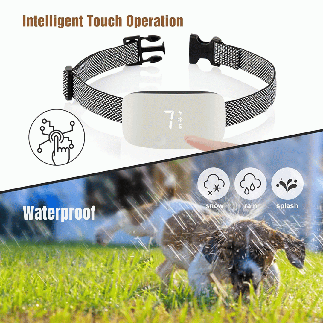 Remote Training Collar Rechargeable Waterproof Vibration Static Tone Small Medium Large Dog Shock Collar Recall Boundary Training | Koossa