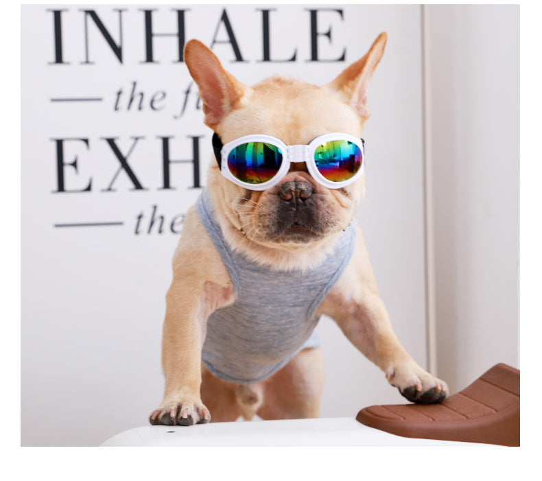 Dog Goggles UV Protection Anti-Fog Waterproof French Bulldog Sunglasses Flat-Face Fit Adjustable Strap Small Dog Eye Protection | Koossa