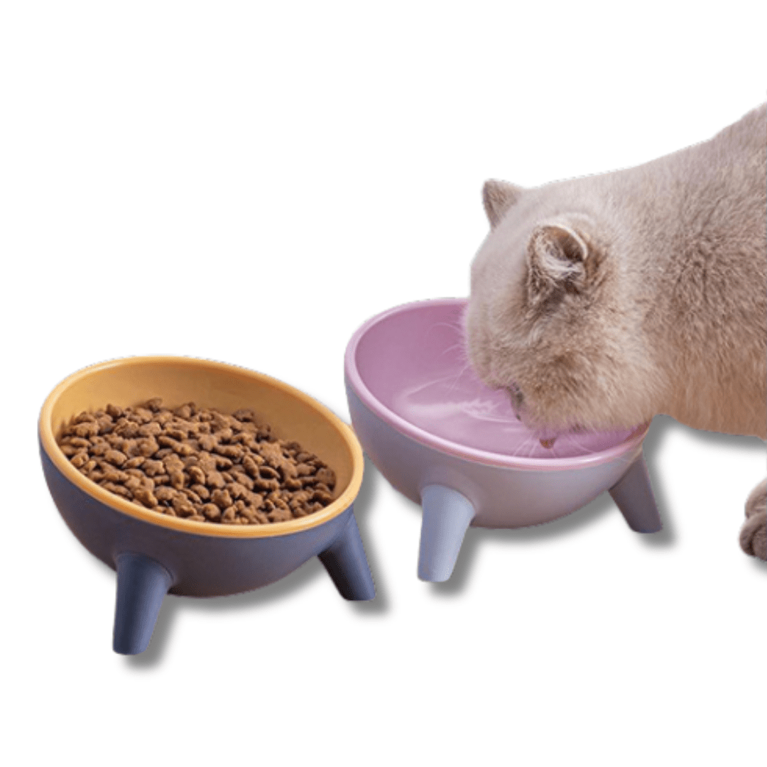 Pet Raised Bowl Tilted 15 Degree Resin Non-Toxic Elevated Dog Cat Food Water Bowl Cervical Spine Support Anti-Spill Ergonomic | Koossa