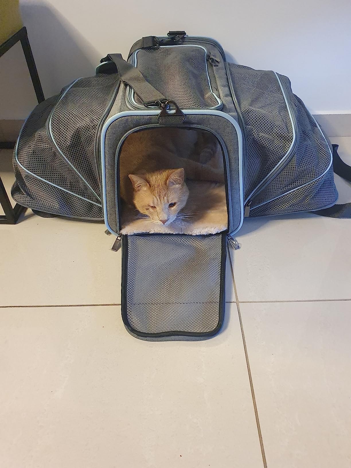 Pet Carrier Bag Oxford Fabric Expandable 46x28x28cm Airline Approved 4-Way Entry Breathable Mesh Cat Dog Travel Bag | Koossa