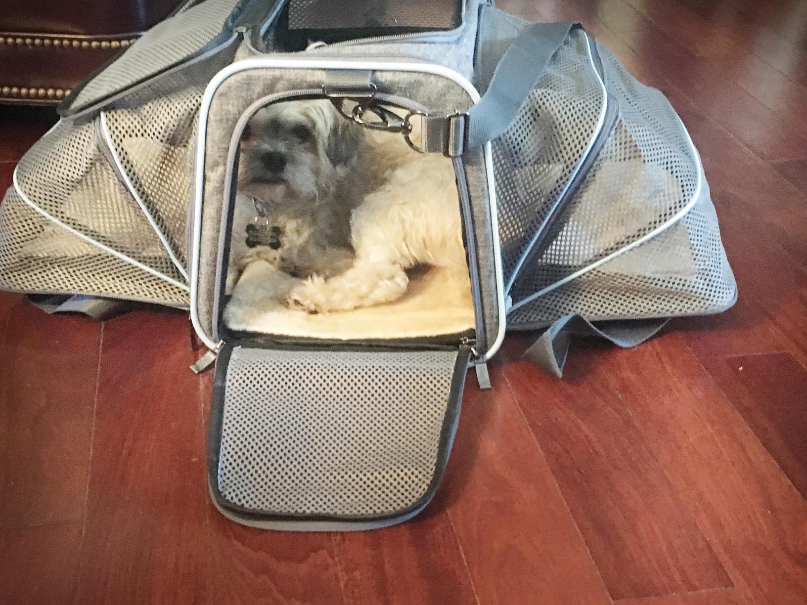 Pet Carrier Bag Oxford Fabric Expandable 46x28x28cm Airline Approved 4-Way Entry Breathable Mesh Cat Dog Travel Bag | Koossa